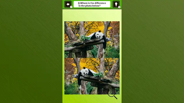 Super kawaii! Finding mistakes in panda photos screenshot 1
