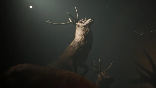 Project 13: Taxidermy Trails screenshot 6