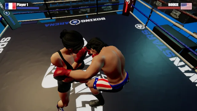 Rookie Boxing screenshot 1