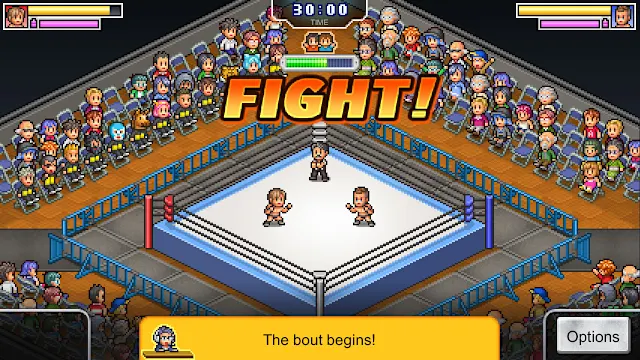 Pro Wrestler Story screenshot 1
