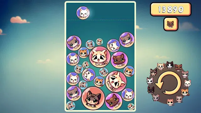 Drop That Cat screenshot 3