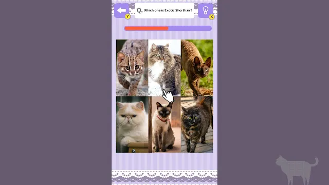 Cat Spotting Challenge! screenshot 1