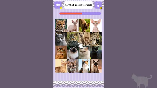 Cat Spotting Challenge! screenshot 3