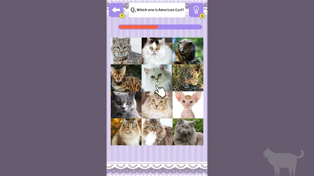 Cat Spotting Challenge! screenshot 2