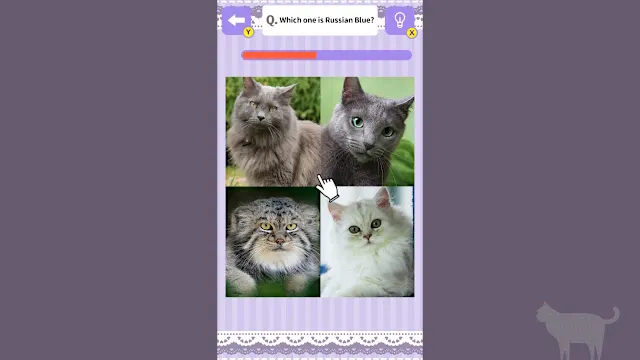 Cat Spotting Challenge! screenshot 0