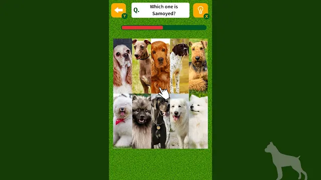 Dog Spotting Challenge! screenshot 1