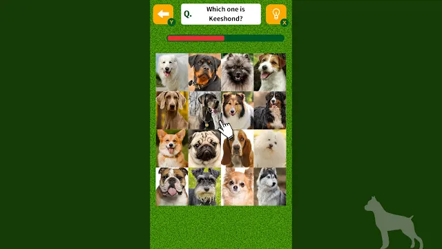 Dog Spotting Challenge! screenshot 3