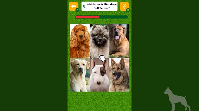 Dog Spotting Challenge! screenshot 0