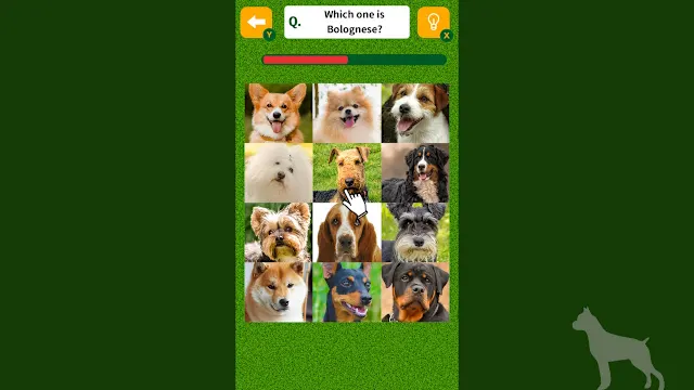 Dog Spotting Challenge! screenshot 2