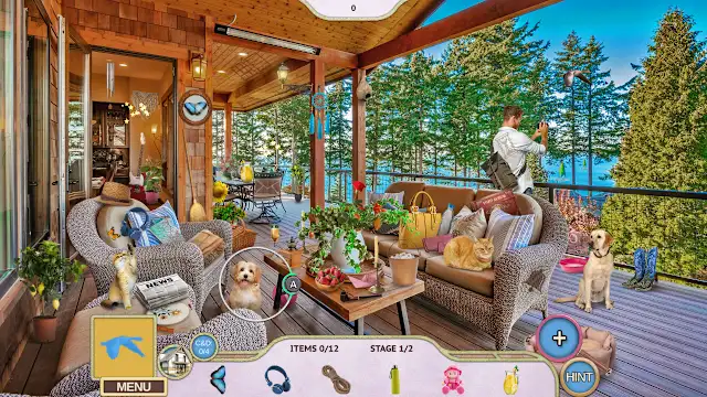 Sweet Home: Look and Find 2 Collector's Edition screenshot 0