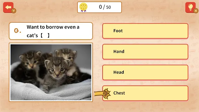 QUIZ! Cat Proverbs Around the World screenshot 0