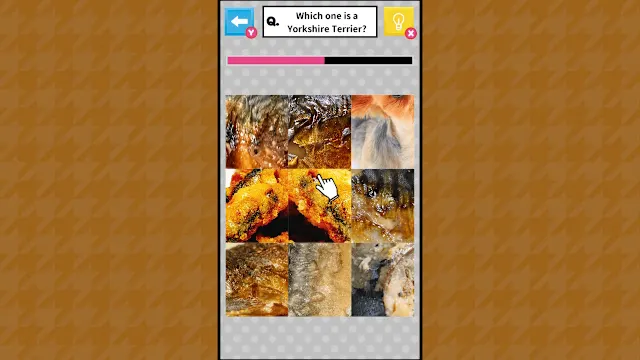 Brain Challenge Spot the Real One! screenshot 0