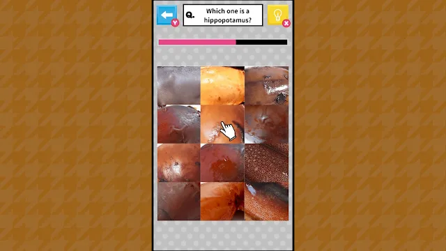 Brain Challenge Spot the Real One! screenshot 3