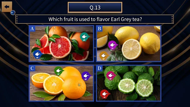 National Quiz of Common Sense screenshot 2