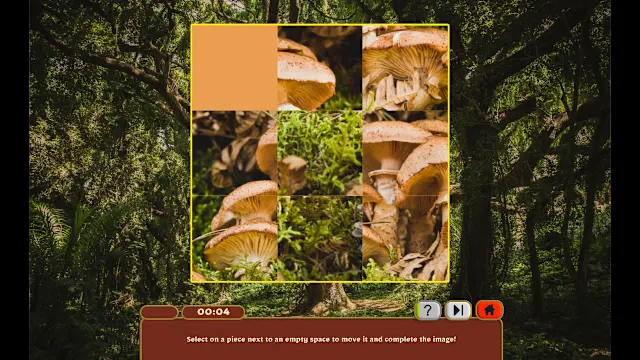 Nature Escapes 5 Collector's Edition screenshot 4