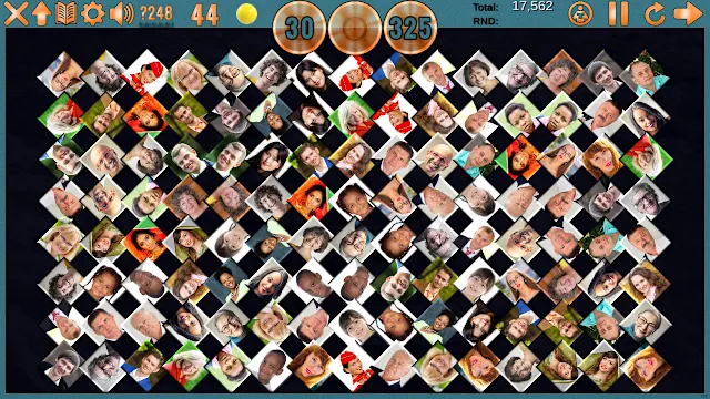 Clutter 17 Flower Power Collector's Edition screenshot 3