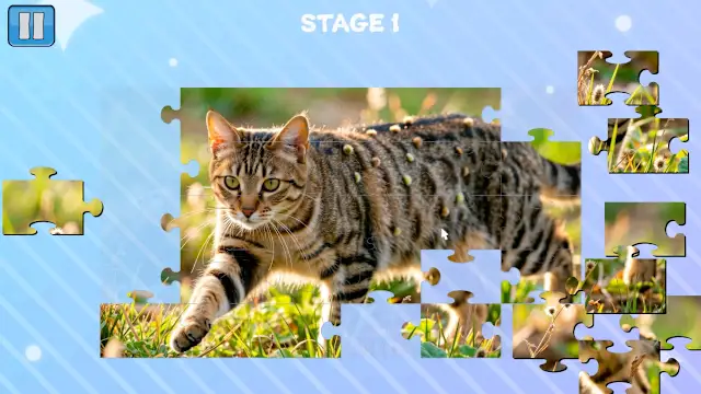Funny Cats Puzzle screenshot 1