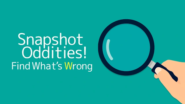 Snapshot Oddities ! Find What’s Wrong