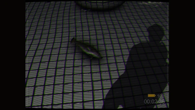 Backrooms: Poolrooms screenshot 2