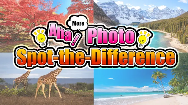 Aha! More Photo Spot-the-Difference