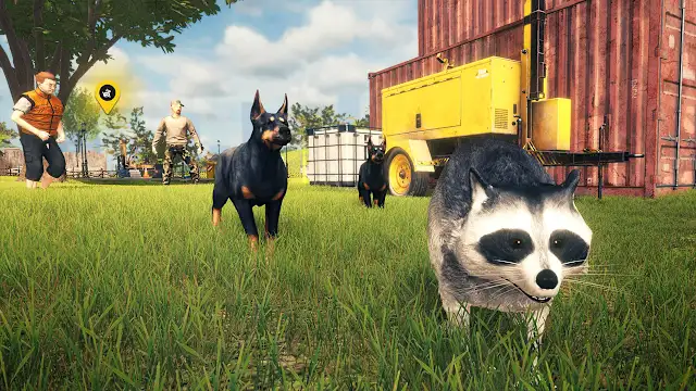 Raccoon Survival Simulator screenshot 1