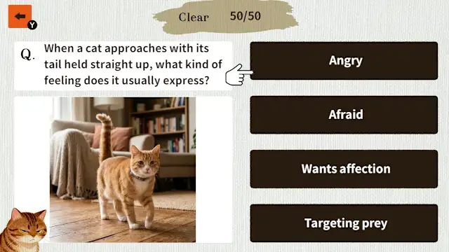 Cat Doctor: For Loyal Servants screenshot 2