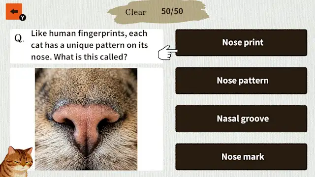 Cat Doctor: For Loyal Servants screenshot 0