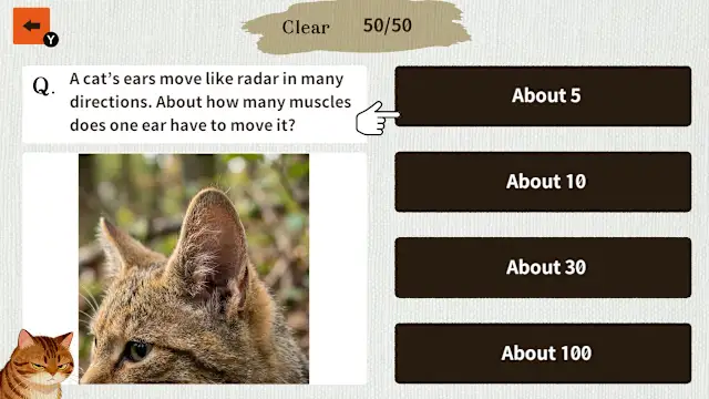 Cat Doctor: For Loyal Servants screenshot 1