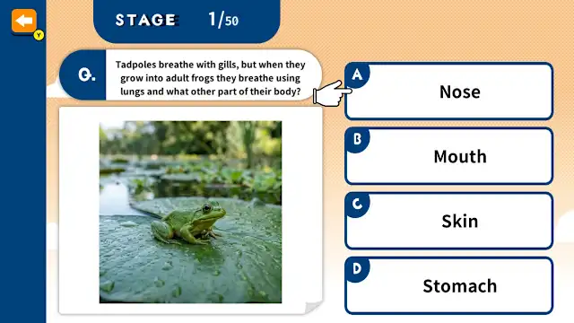 Challenge Together! Elementary School Quiz screenshot 0