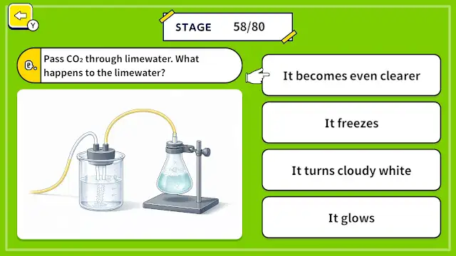 Amazing Lab! Science Experiments Quiz screenshot 2