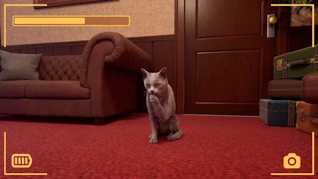Strays POV Tales screenshot 3