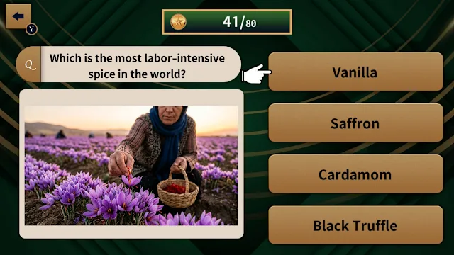 Take It Seriously! Extreme Common Sense Challenge screenshot 3
