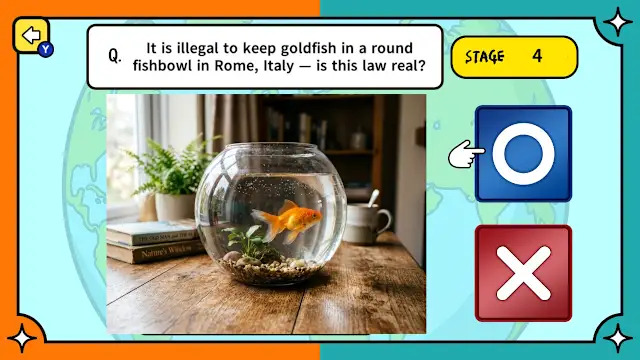 Surprising Laws Around the World True or False Quiz screenshot 3