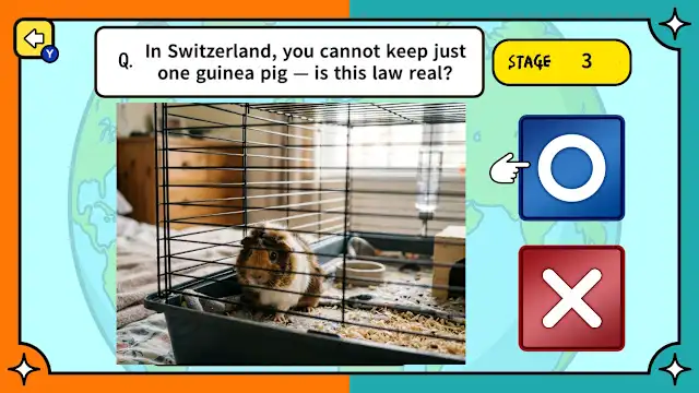 Surprising Laws Around the World True or False Quiz screenshot 2