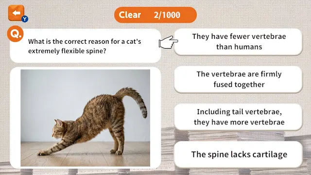 1000 Questions to Be Chosen by the Cat Lord screenshot 1