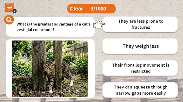 1000 Questions to Be Chosen by the Cat Lord screenshot 2