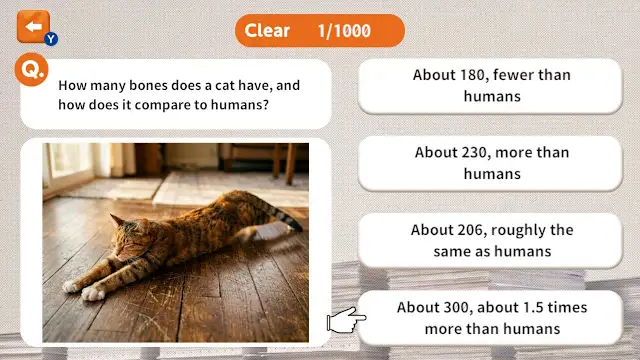 1000 Questions to Be Chosen by the Cat Lord screenshot 0