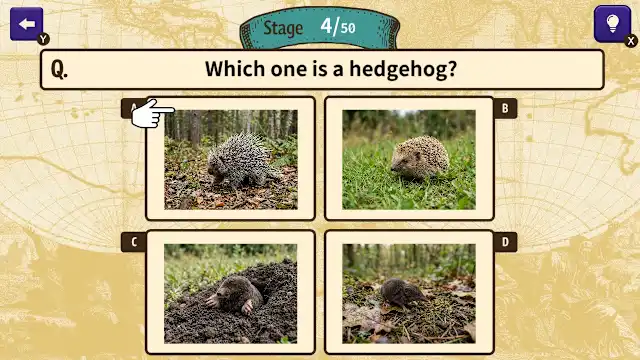 Can You Make the Cut? Worldwide Common Sense Check screenshot 3
