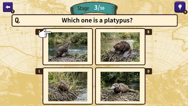 Can You Make the Cut? Worldwide Common Sense Check screenshot 2