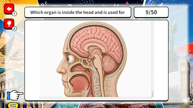 Spot It in the Picture!WorldwideKnowledge × Academic Quiz screenshot 1