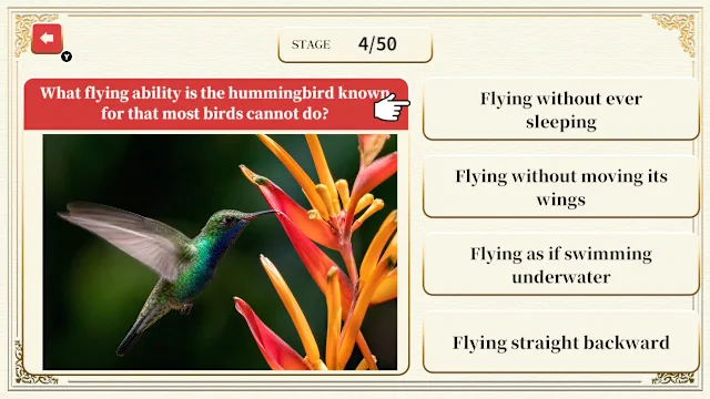 Professor Neumann's Adult Certification Test screenshot 3