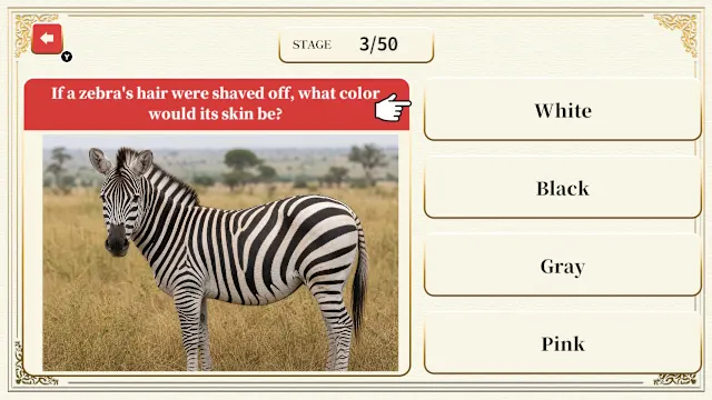 Professor Neumann's Adult Certification Test screenshot 2