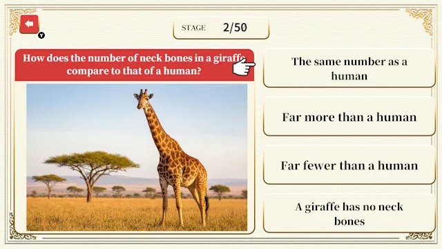 Professor Neumann's Adult Certification Test screenshot 1
