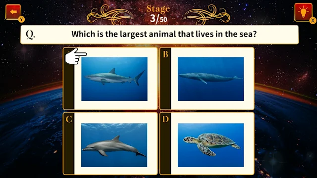 Common Sense National Championship screenshot 2