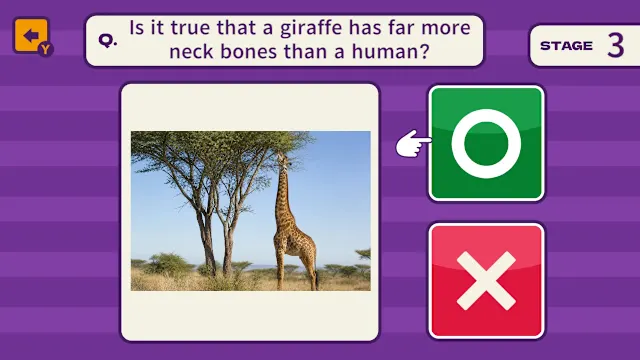 One Question and You'll Want to Share It! 1000 Trivia Quiz Questions screenshot 2