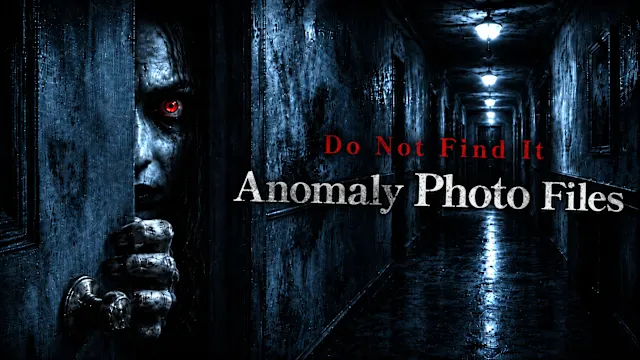 Do Not Find It: Anomaly Photo Files