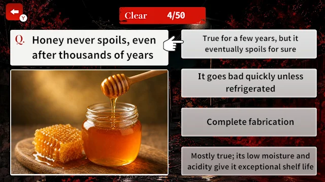 How True Is This Rumor? Urban Legend Mystery screenshot 2