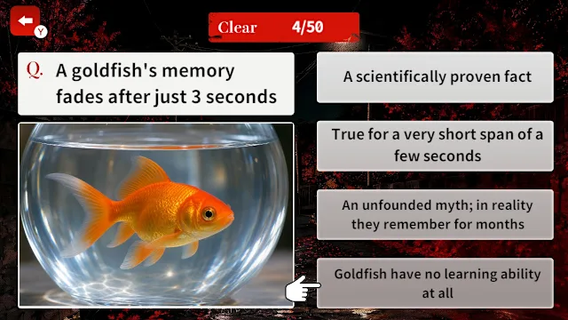 How True Is This Rumor? Urban Legend Mystery screenshot 0