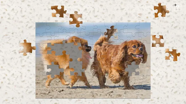 Cute Lovely Dogs screenshot 0