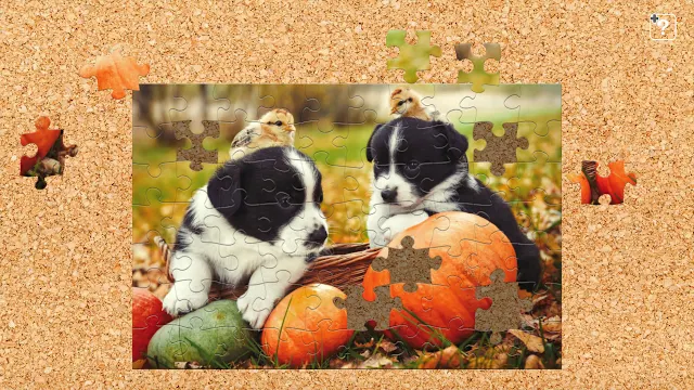 Cute Lovely Dogs screenshot 2